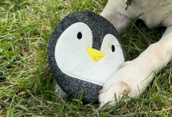 Peluche Lil'Ping ultra résistante, Cheeky