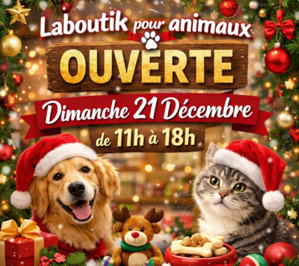 Ouverture  dimanche 21 décembre