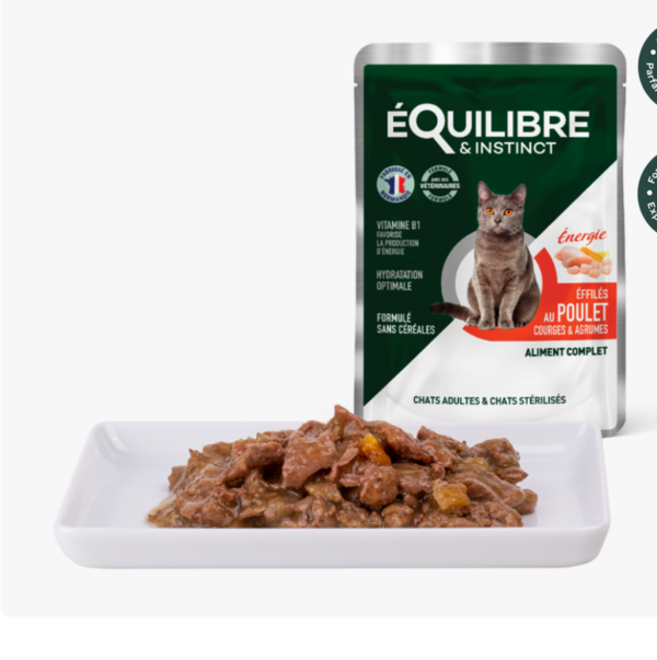 Effilés de poulet chat