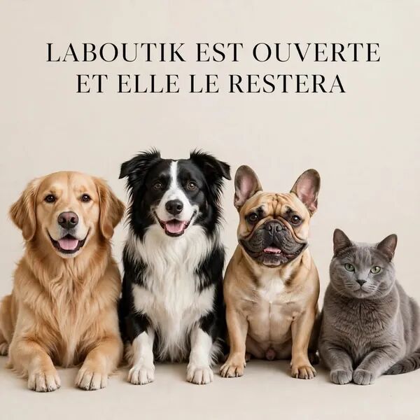 Nous restons ouverts