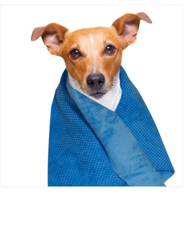 SERVIETTE RAFRAICHISSANTE