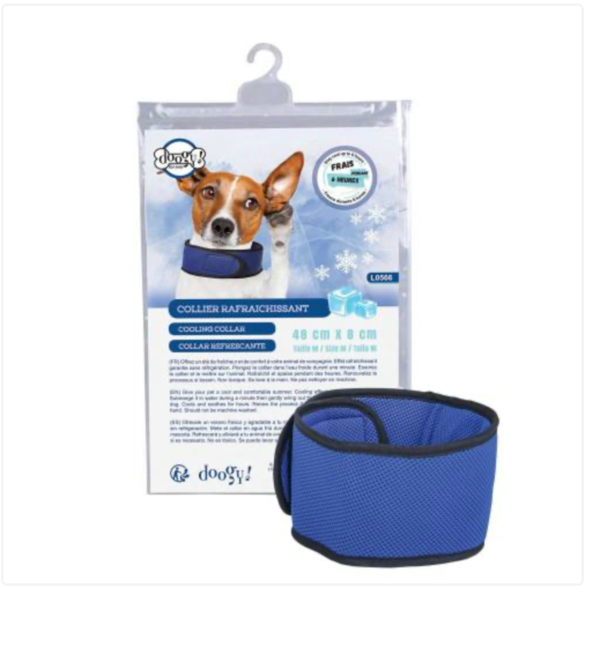 COLLIER RAFRAICHISSANT