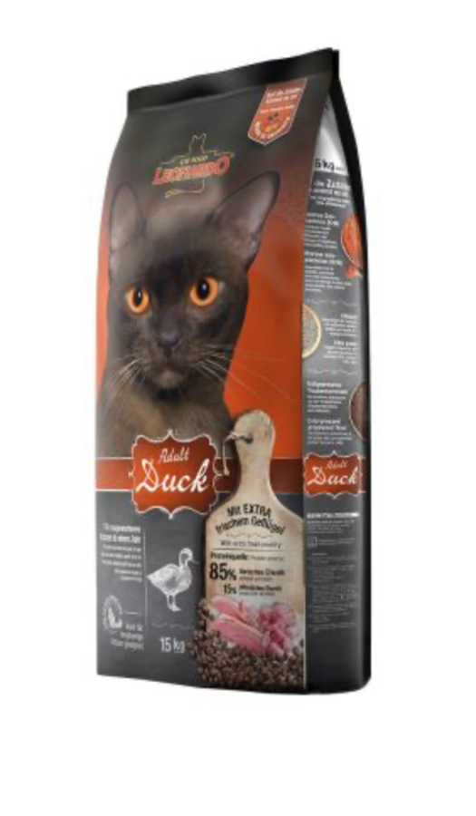 LEONARDO CANARD & RIZ