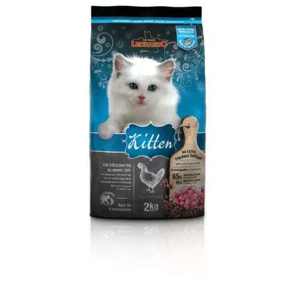 LEONARDO KITTEN CHATON