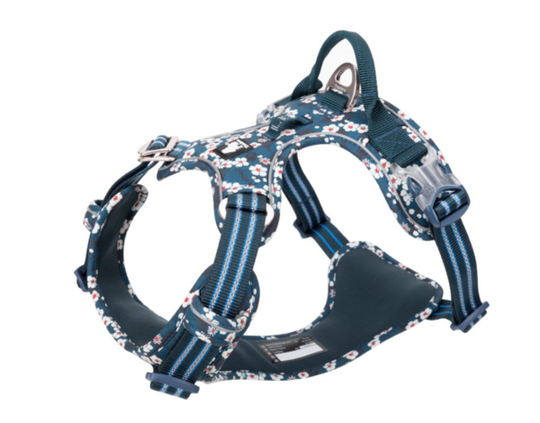 HARNAIS TRUELOVE COUNTRY PLUS FLOWER BLEU