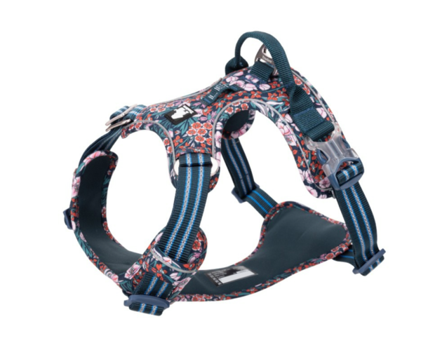 HARNAIS TRUELOVE COUNTRY PLUS FLOWER ROSE