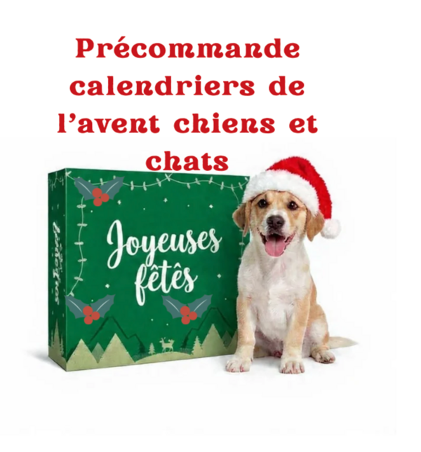 Précommande calendriers de l'avent