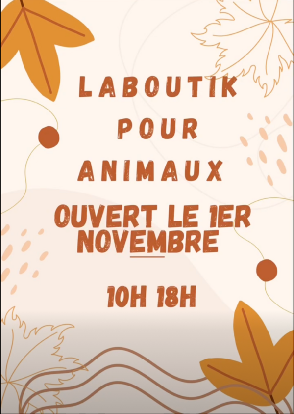 Ouverture samedi 1 Novembre