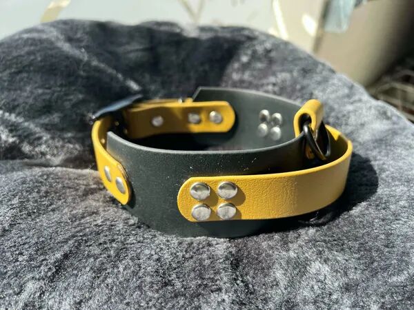 Laisses, colliers, longes en Biothane sur mesure