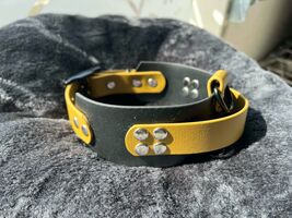 collier en biothane taille XXL