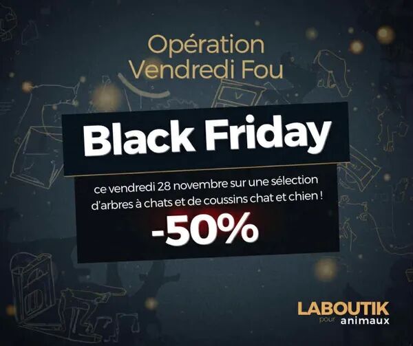 Black Friday vendredi Fou