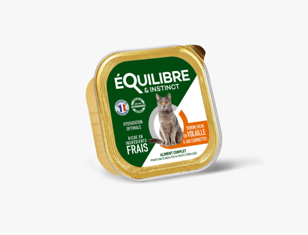 Pâtées riches en volaille & aux courgettes Chat 