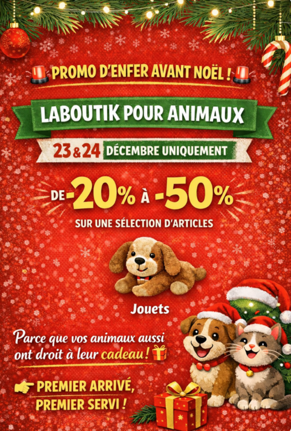Promo d'enfer spéciale jouets de noël